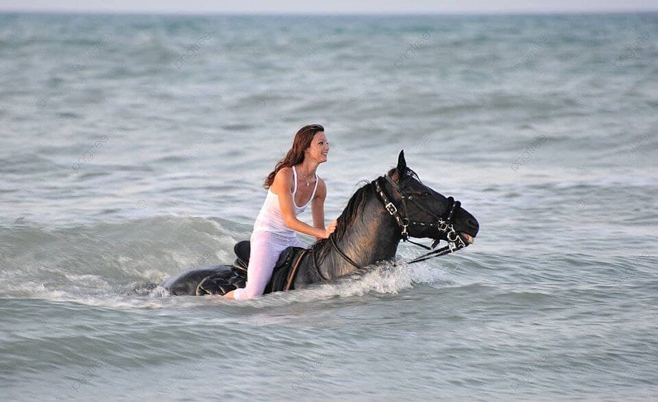 Horse Riding