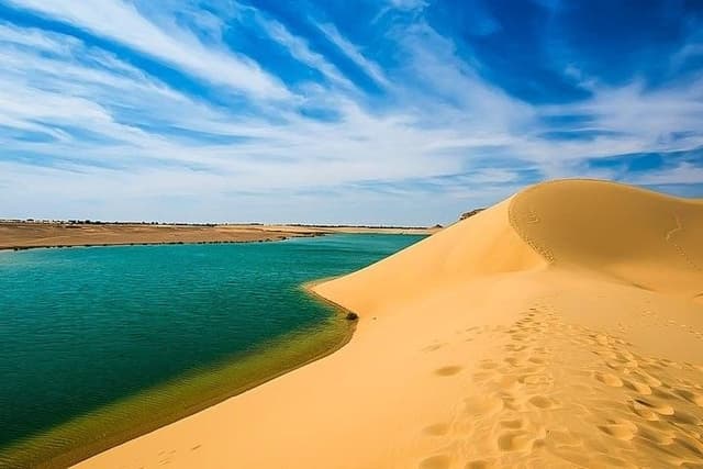 Al Fayom